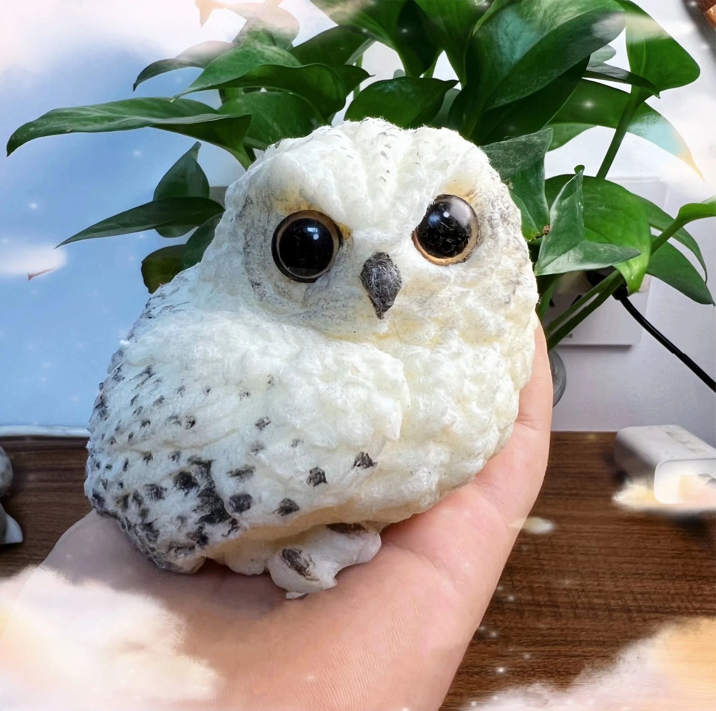 Owl Spuishy