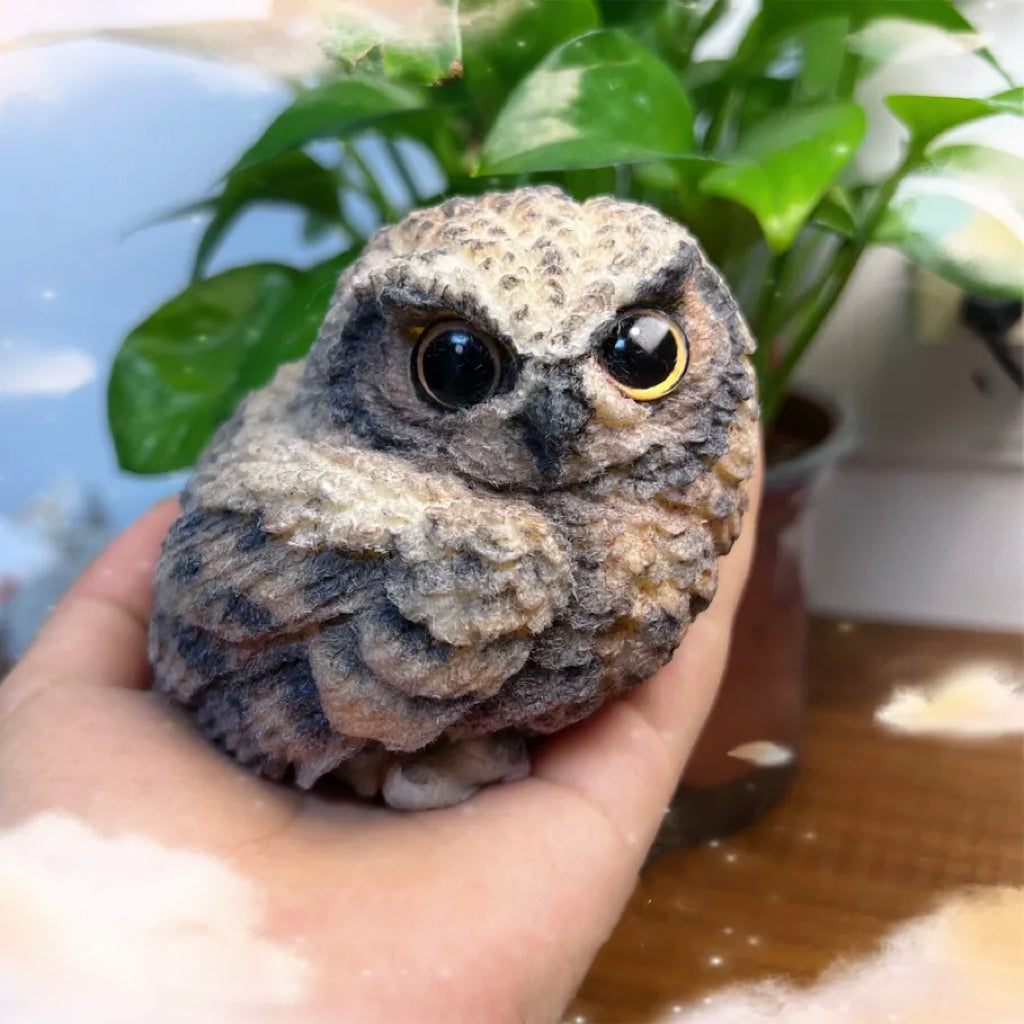 Owl Spuishy